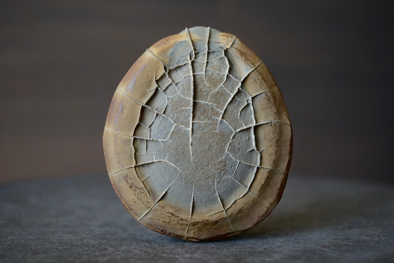 ゴビ砂漠産亀甲石 Turtleback Stone 1323