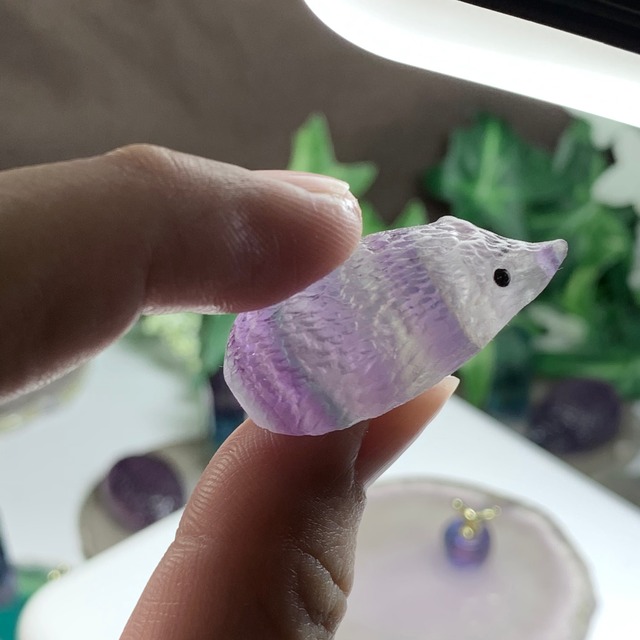 1.フローライトハリネズミさんの住処・~ハリーさんの休憩所~