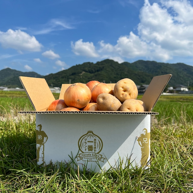 淡路島玉ねぎ旨一番３kg　蔵出しじゃがいもきたあかり２kg　送料・税込み