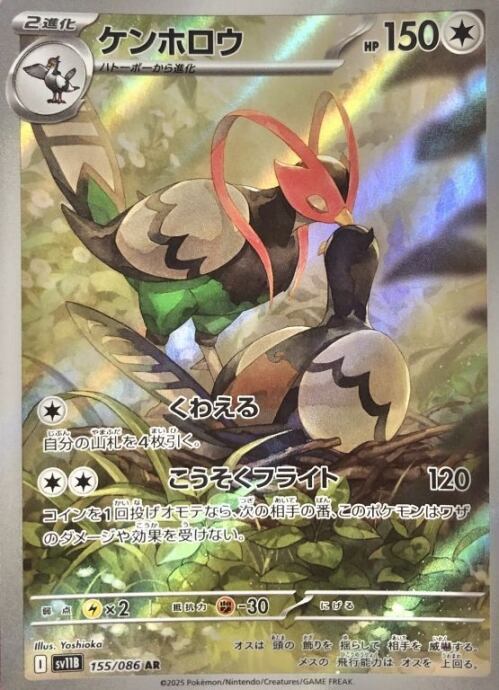 【美品】ケンホロウ(AR)