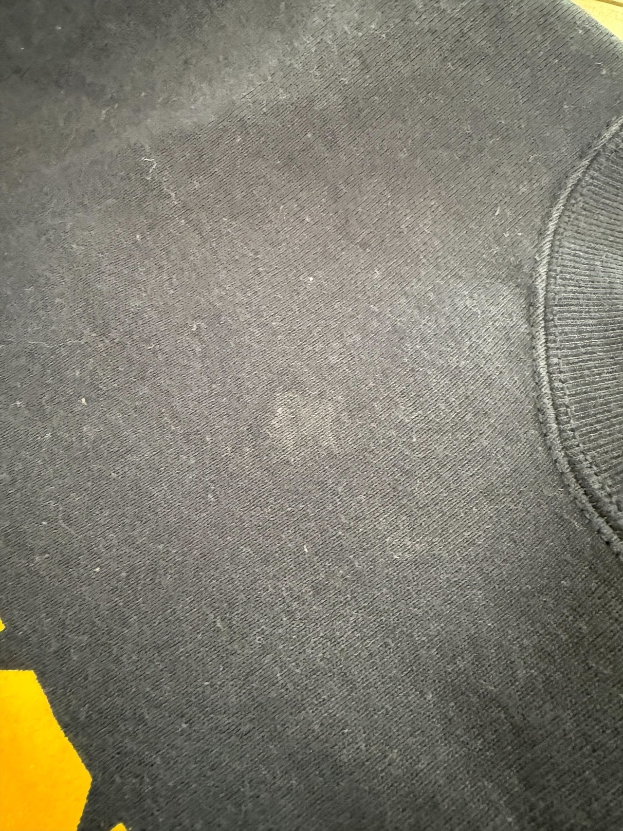 90's フルーツオブザルーム MICHIGAN