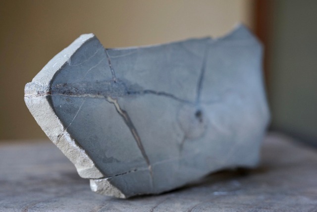 イクチオサウルス化石　骨　Ichthyosaurus Bone