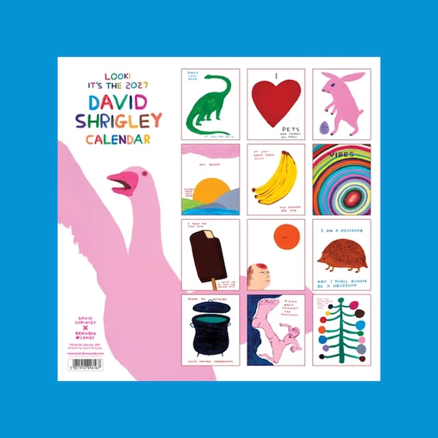 〈予約中〉DAVID SHRIGLEY：2027 WALL CALENDAR