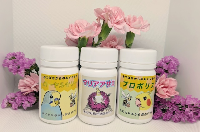 定期便オーダー分　T様専用ページ