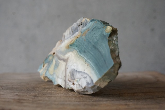 ゲイリーグリーン・ジャスパー (ペトリファイド・ボグウッド)　Gary Green Jasper 752