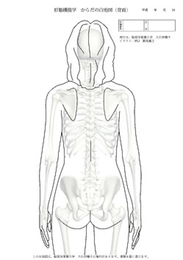 からだの白地図 男性(背面)