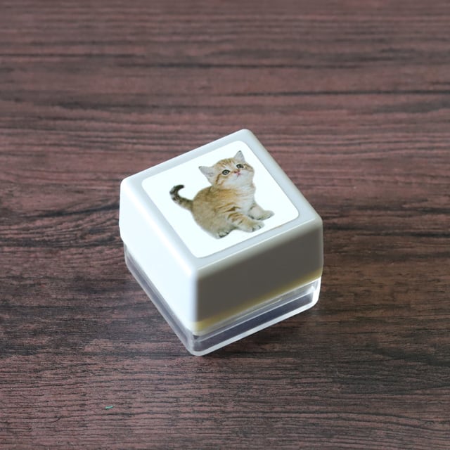 リアルふぉとスタンプ コアラ RP-069 | 浸透印スタンプ Yamahachi Stamp
