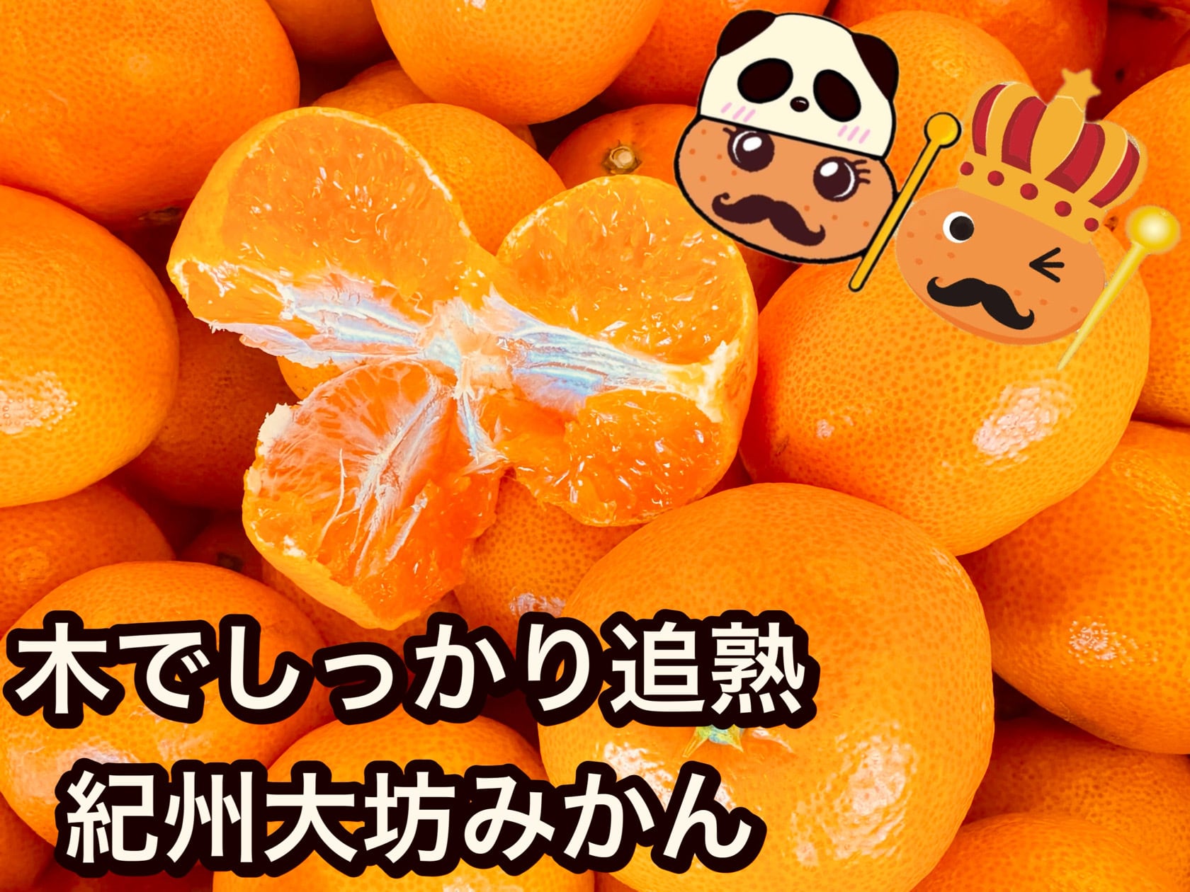 超感謝特価❤みかん＊超レア❤超厚手＊極やわ⭐Wボア☆シングルお布団❤ 専用❤みかん＊レア…超超特価❤超厚手＊柔っふわ⭐Wボア☆シングルお