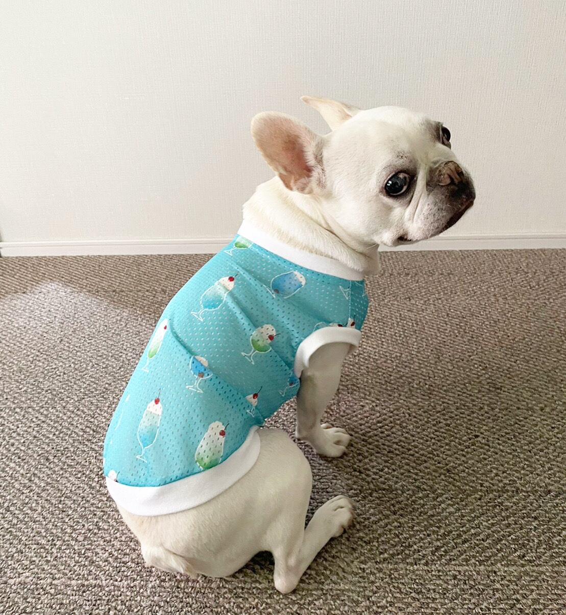 ハンドメイド　犬服　接触冷感裾フリルタンクトップ（クリームソーダ）　オーダー オールメッシュタンクトップ＊クリームソーダ柄＊ | 犬服BUTTER