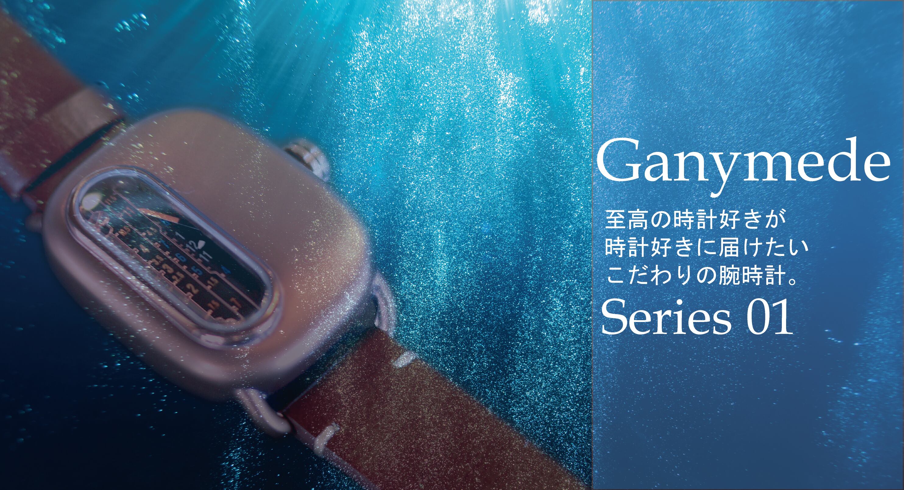上等 Ganymede series01 ガニメデ 機械式 腕時計 asakusa.sub.jp