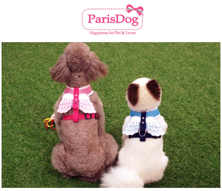 エンゼルハーネス&リードセット S ~ L 2color  /  犬 犬用 ハーネス 小型犬 中型犬 ドッグウェア ペット用品 胴輪