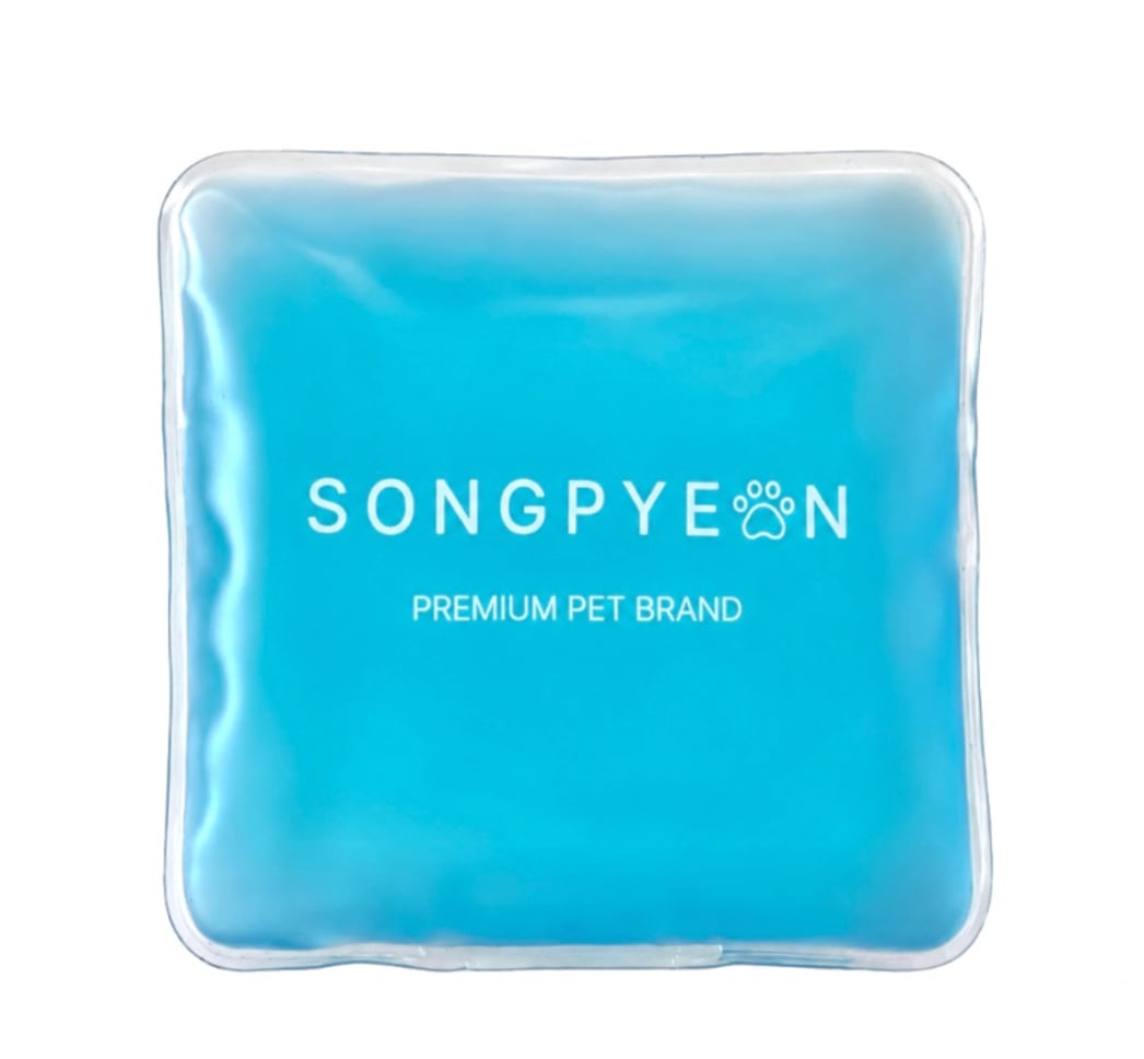 即納【songpyeon】Ice pack
