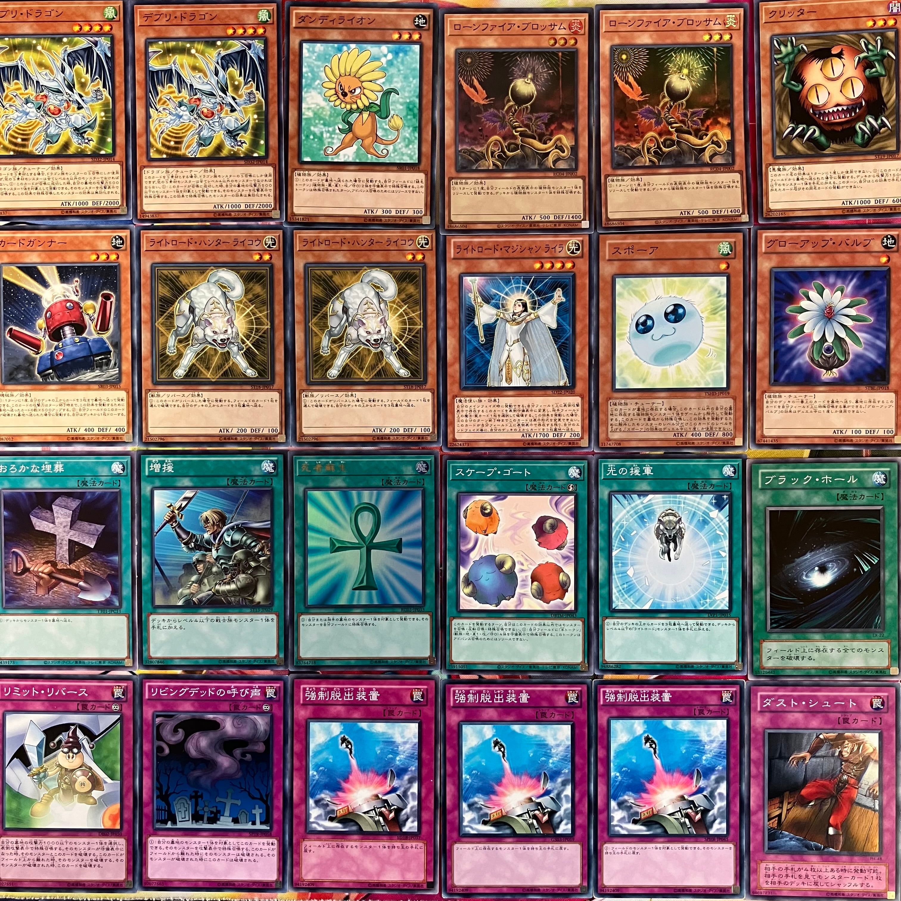 1103環境 デブリダンディ ジャンド デッキ 遊戯王 ゲートボール 1103環境 デブリダンディ ジャンド デッキ 遊戯王 ゲートボール