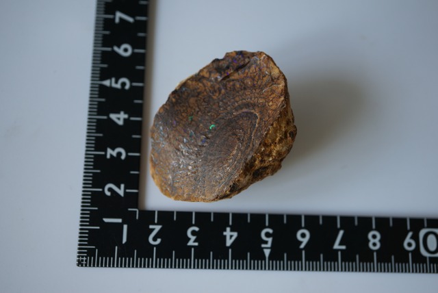 ボルダーオパール  Boulder Opal  990