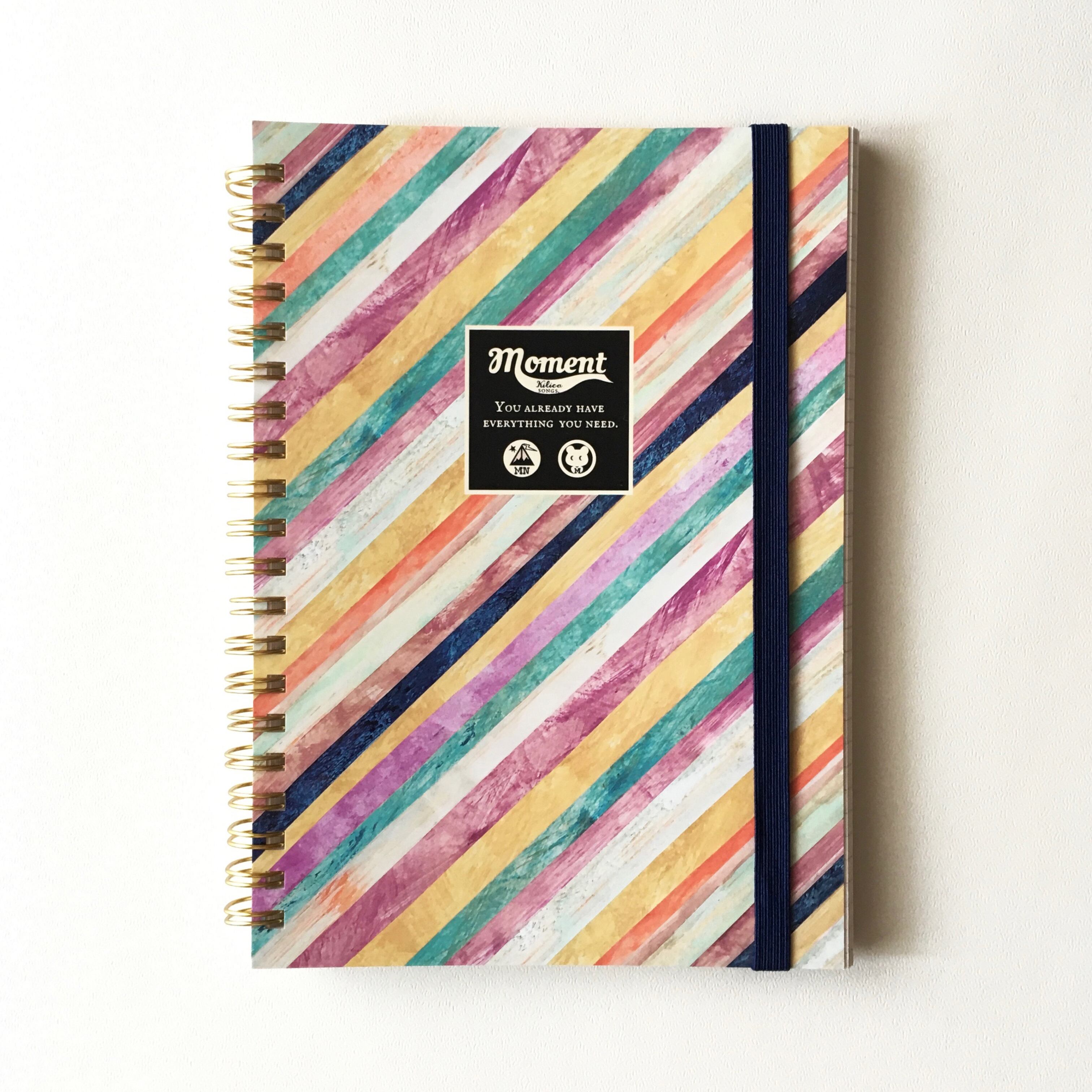 トレジャーノート【No.4】B6フィルムポケット付 Stripe