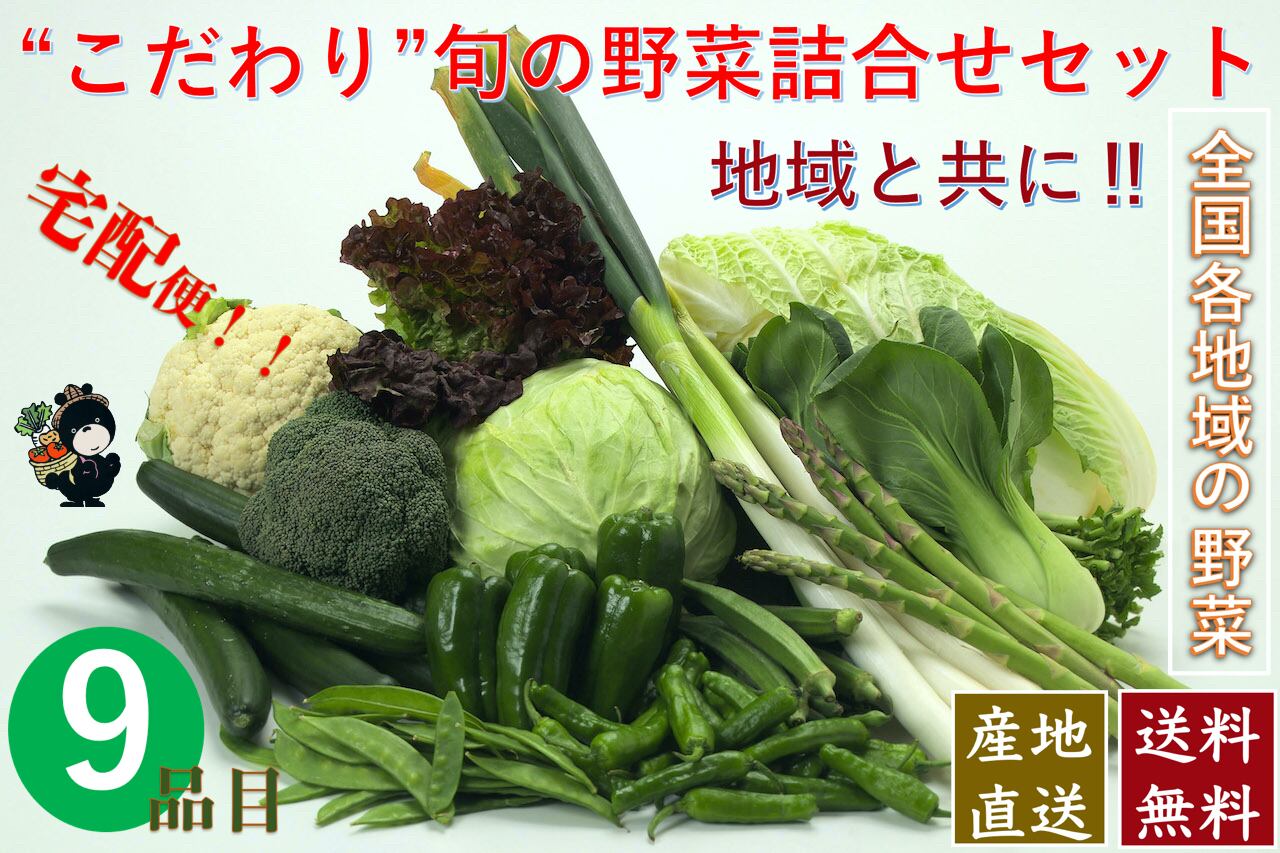 こだわり旬の野菜詰合せセット【９種類】宅配サービス【送料無料】　こだわり市場