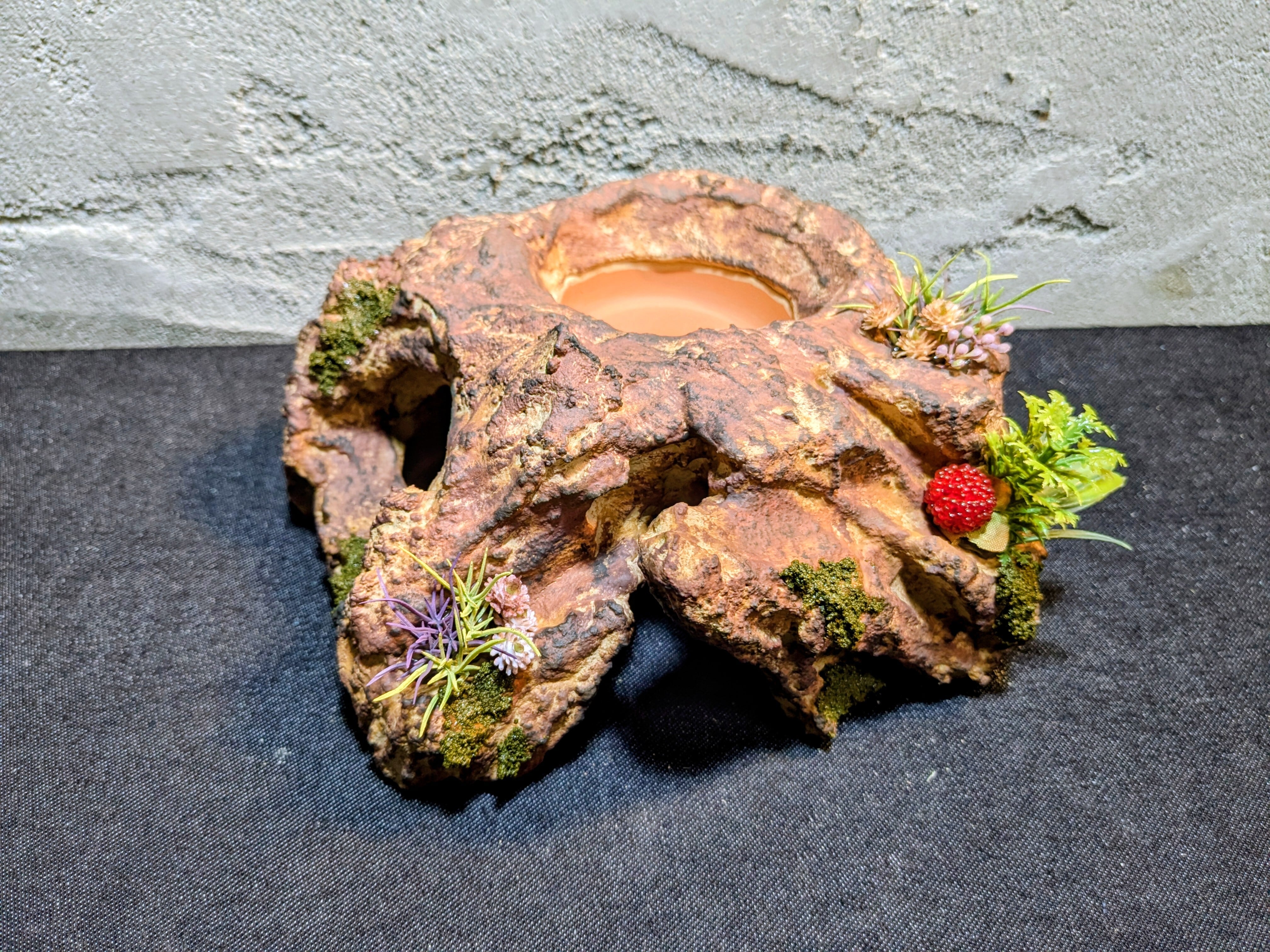 爬虫類用造形アート ともえ屋