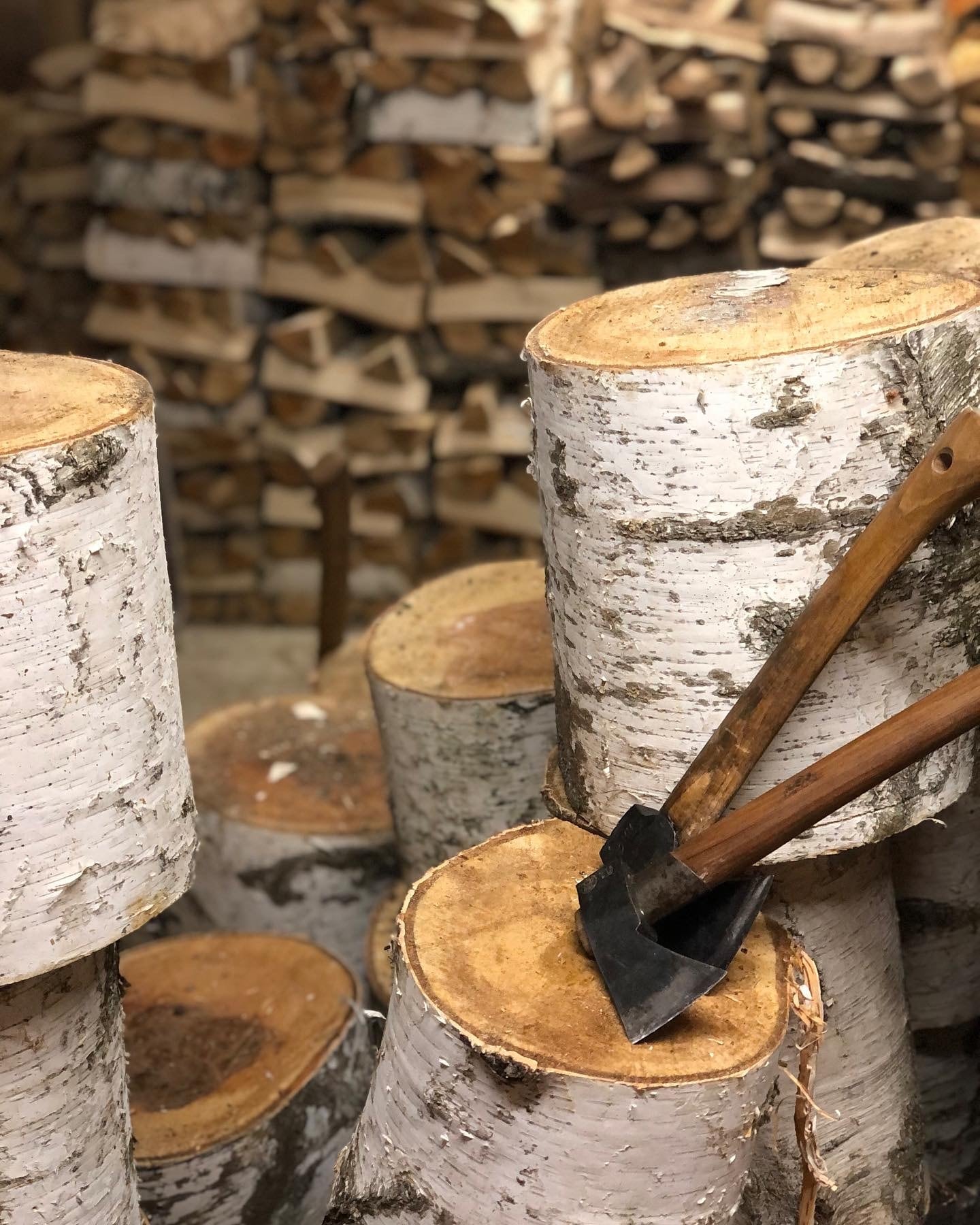 白樺 薪 30cm 【ランバージャック薪】プレミアム薪 | LUMBERJACK