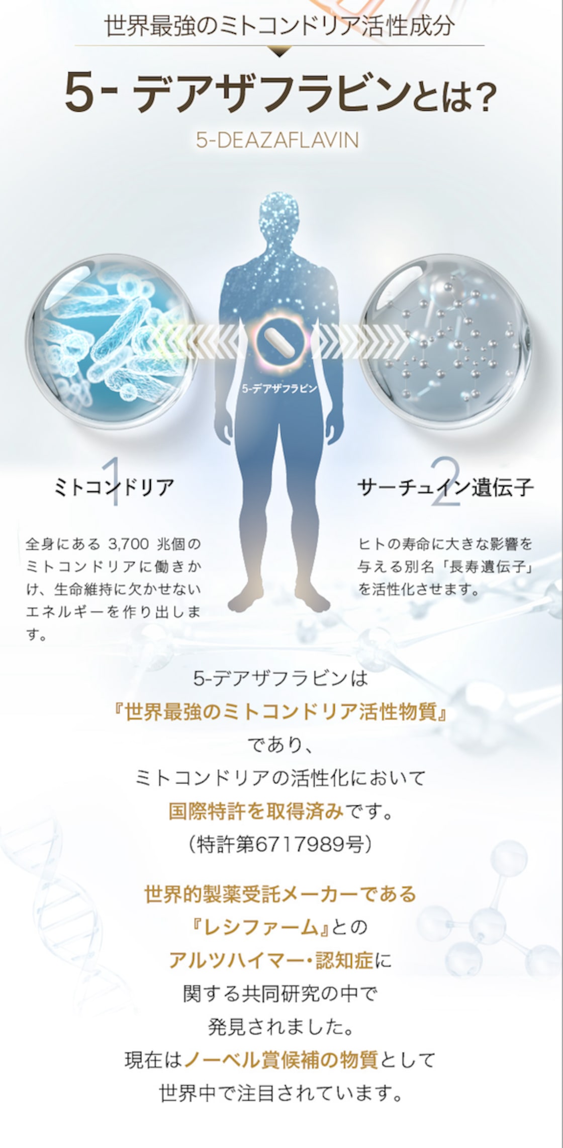 1ヶ月分】5デアザフラビン TND1128 nano30mg/粒 | Pay ID 1ヶ月分】5デアザフラビン TND1128 nano30mg/粒 | Pay ID