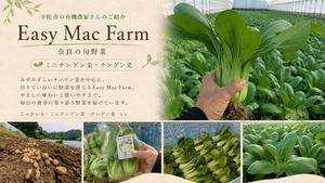 Easy Mac Farmの紹介