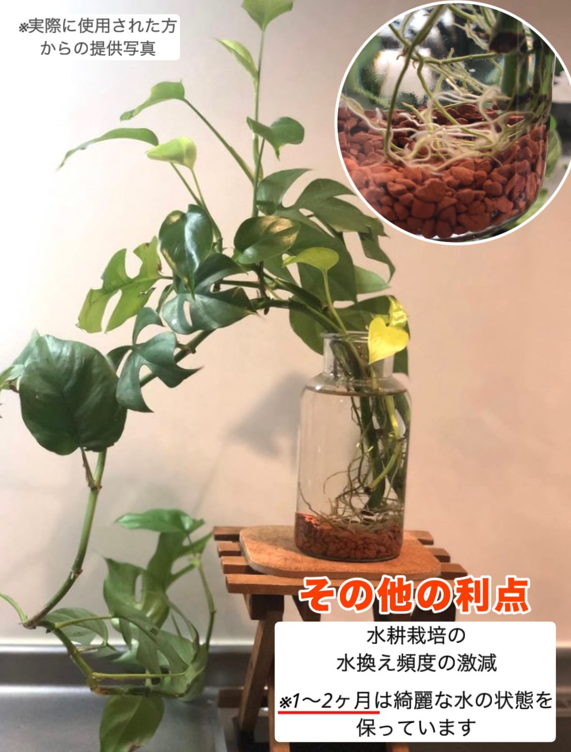 赤焼2L 【テラチップ®︎】 | PAY ID