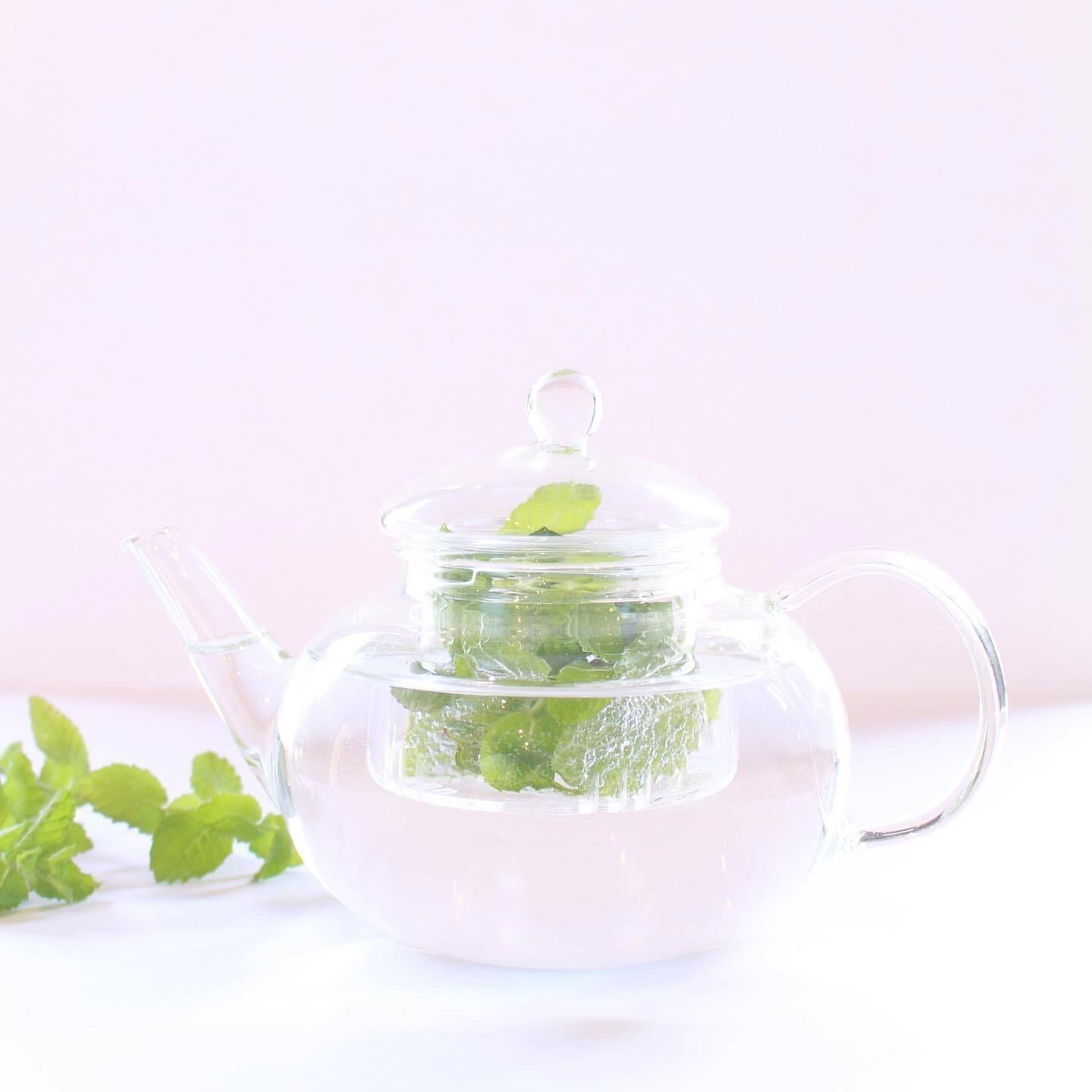 耐熱式 ガラスポット