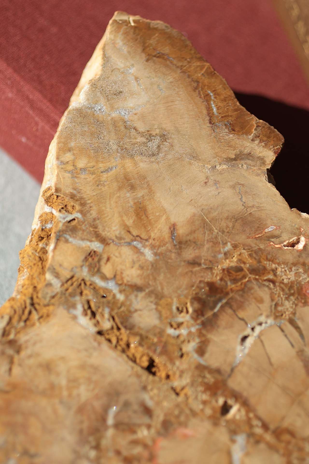 ペトリファイドウッド プレート |  Petrified Wood Plate ◇ 天然石・鉱物・パワーストーン | st00408