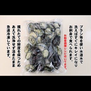 鹿児島県産　アナゴウ貝　生食も可能な超低温急速冷凍　500g入