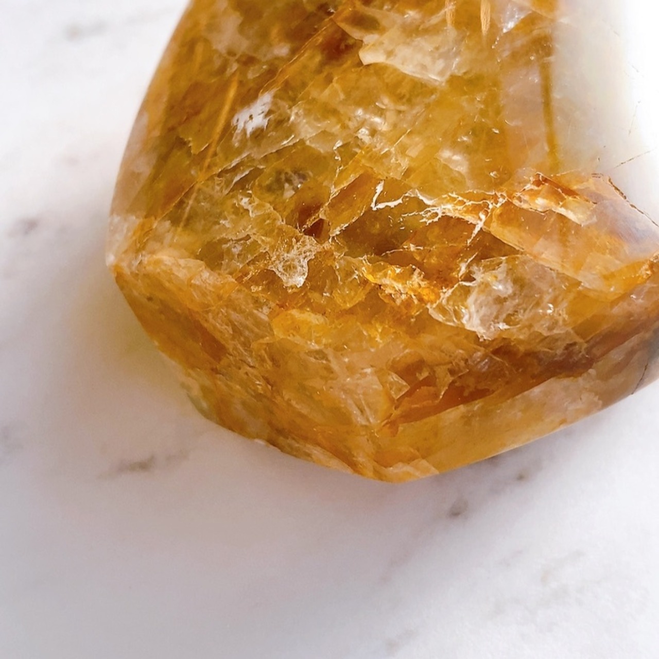 ゴールデンヒーラー フレイム01*ブラジル産