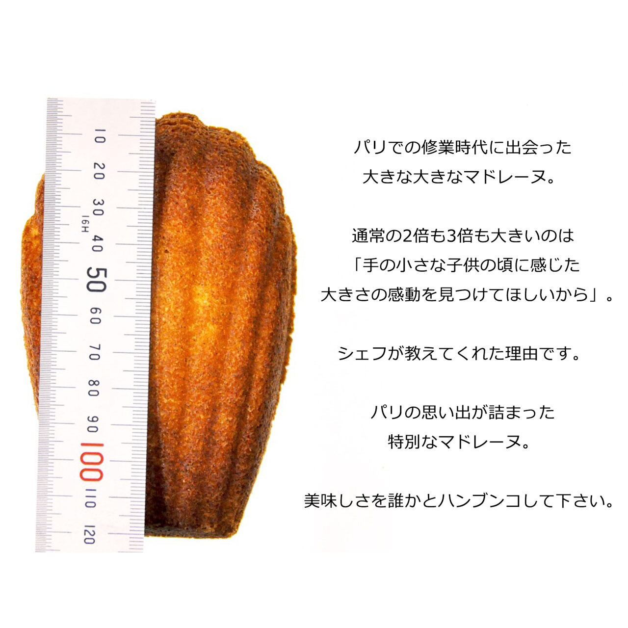 マドレーヌ【ハンブンコ】 4個入×2箱 | アイスケーキや焼き菓子のお