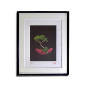 'BALANCE' limited edition artwork by 5 Senses signed, numbered 3/5, stamped and framed