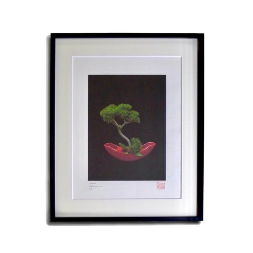 'BALANCE' limited edition artwork by 5 Senses signed, numbered 3/5, stamped and framed