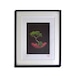 'BALANCE' limited edition artwork by 5 Senses signed, numbered 3/5, stamped and framed