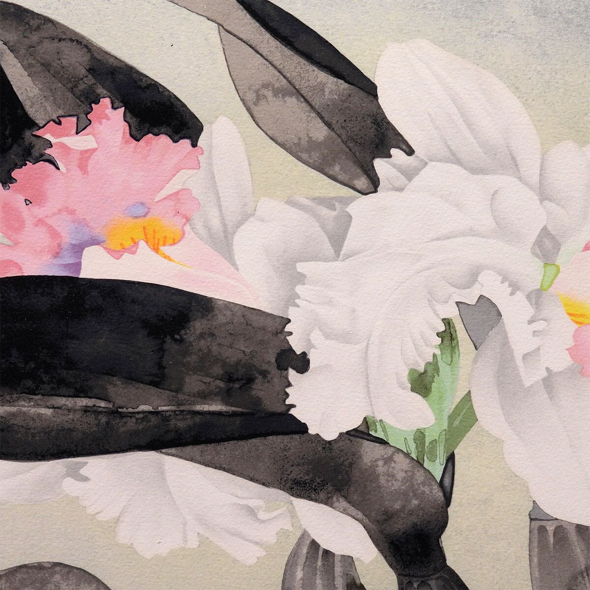 絵画 中島千波 かとれあ リトグラフ 版画作品 静物画 花 西洋蘭 作家