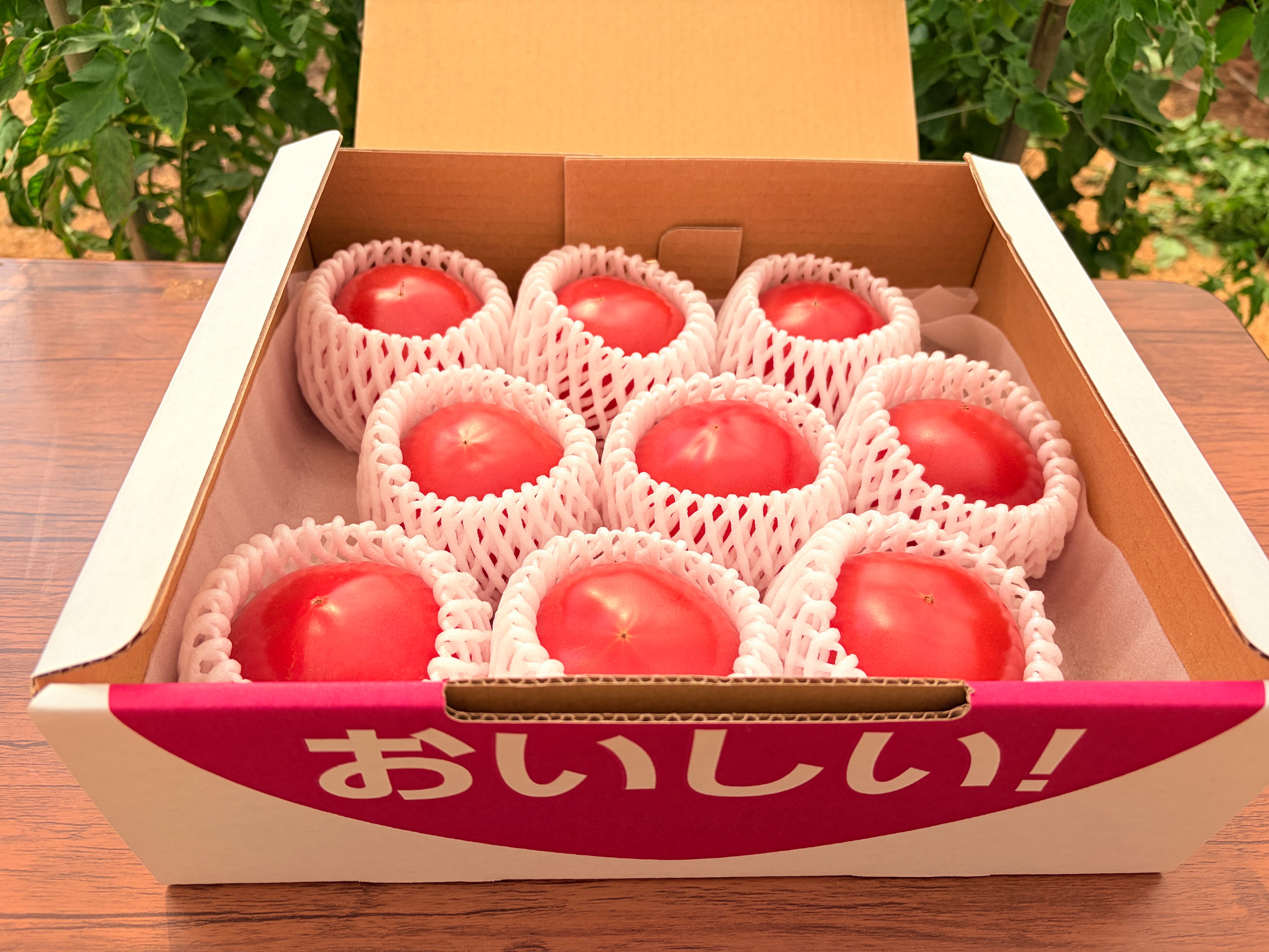 ②和炭ギフト 中箱 | nature wakamatsu