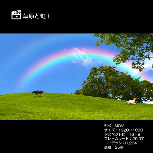 草原と虹1