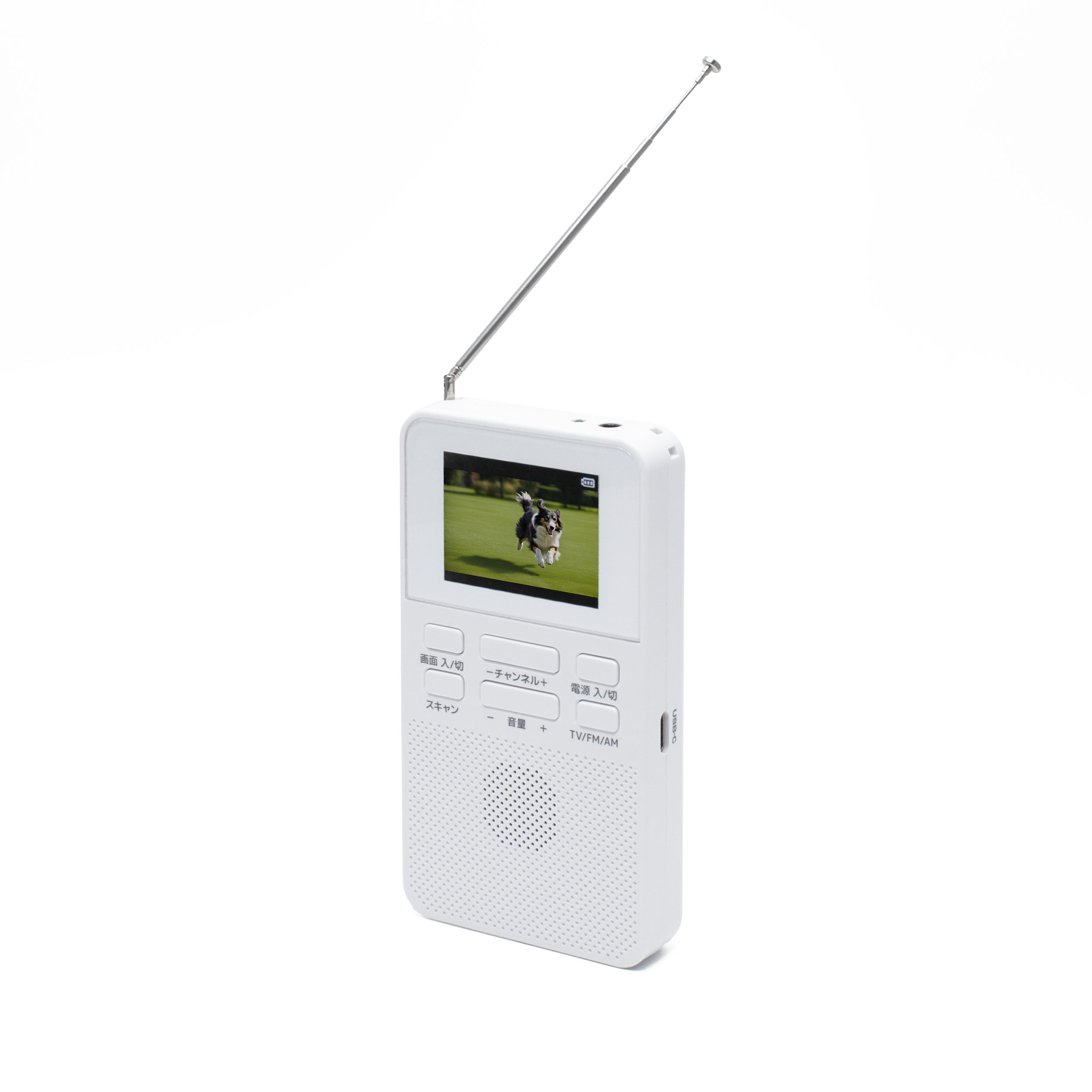 これだけで安心！ 安全ポータブル電源・ソーラーパネルセット ENEPORTA