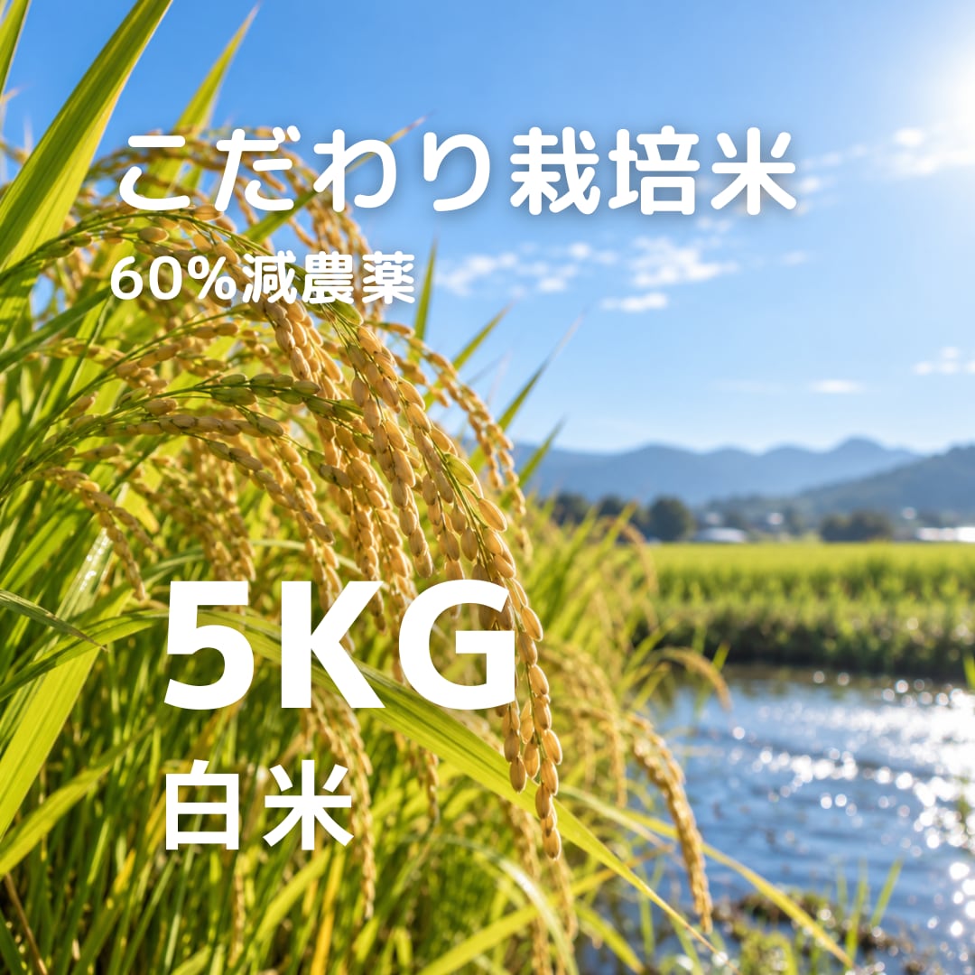 R8年産 冷めても美味しい こだわり栽培米 白米 5kg
