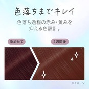 リーゼ ティントカラージェル ピンクラベンダー (191ml) 黒髪用