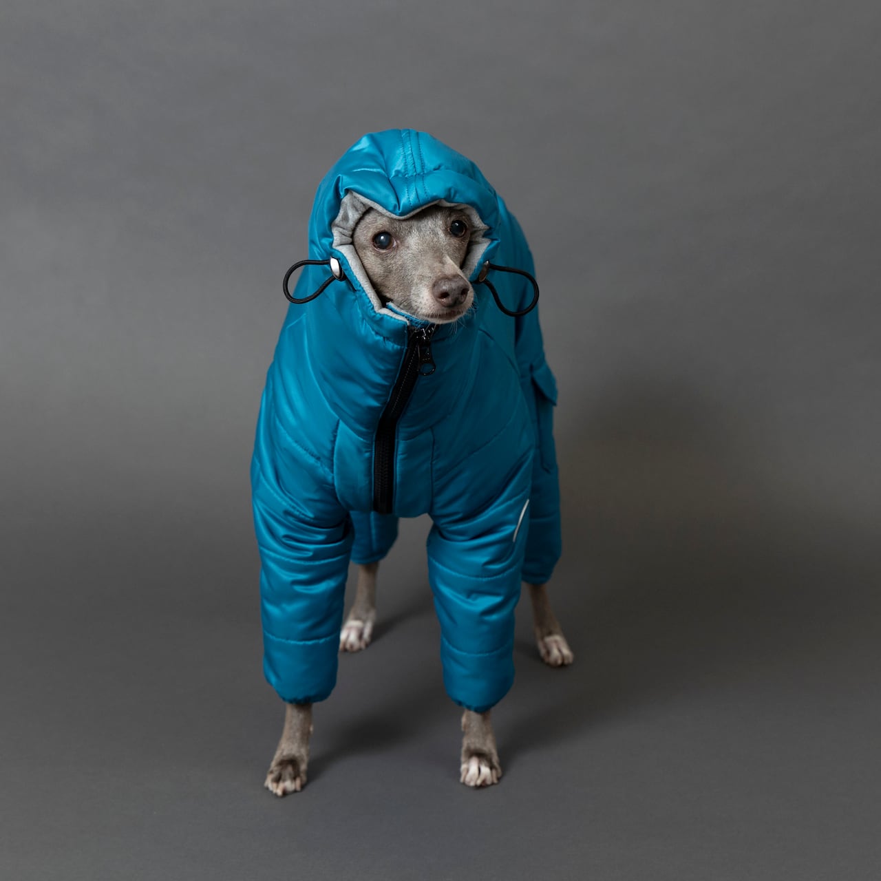 イタグレ スノースーツ2着セット イタグレ スノースーツ2着セット