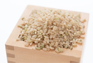 自然栽培米おぼろづき １０kg