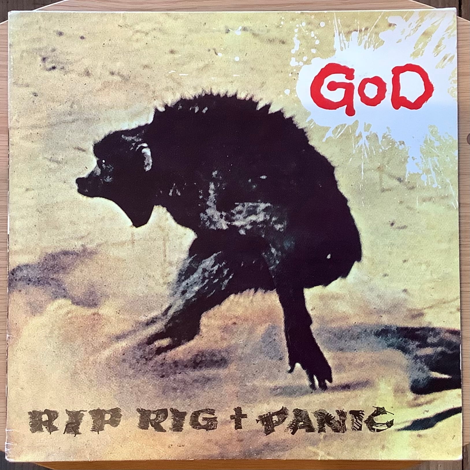 美品！RIP RIG & PANIC GOD LP レコード　日本盤 RIP RIG + PANIC / GOD | Plastic Soul Records