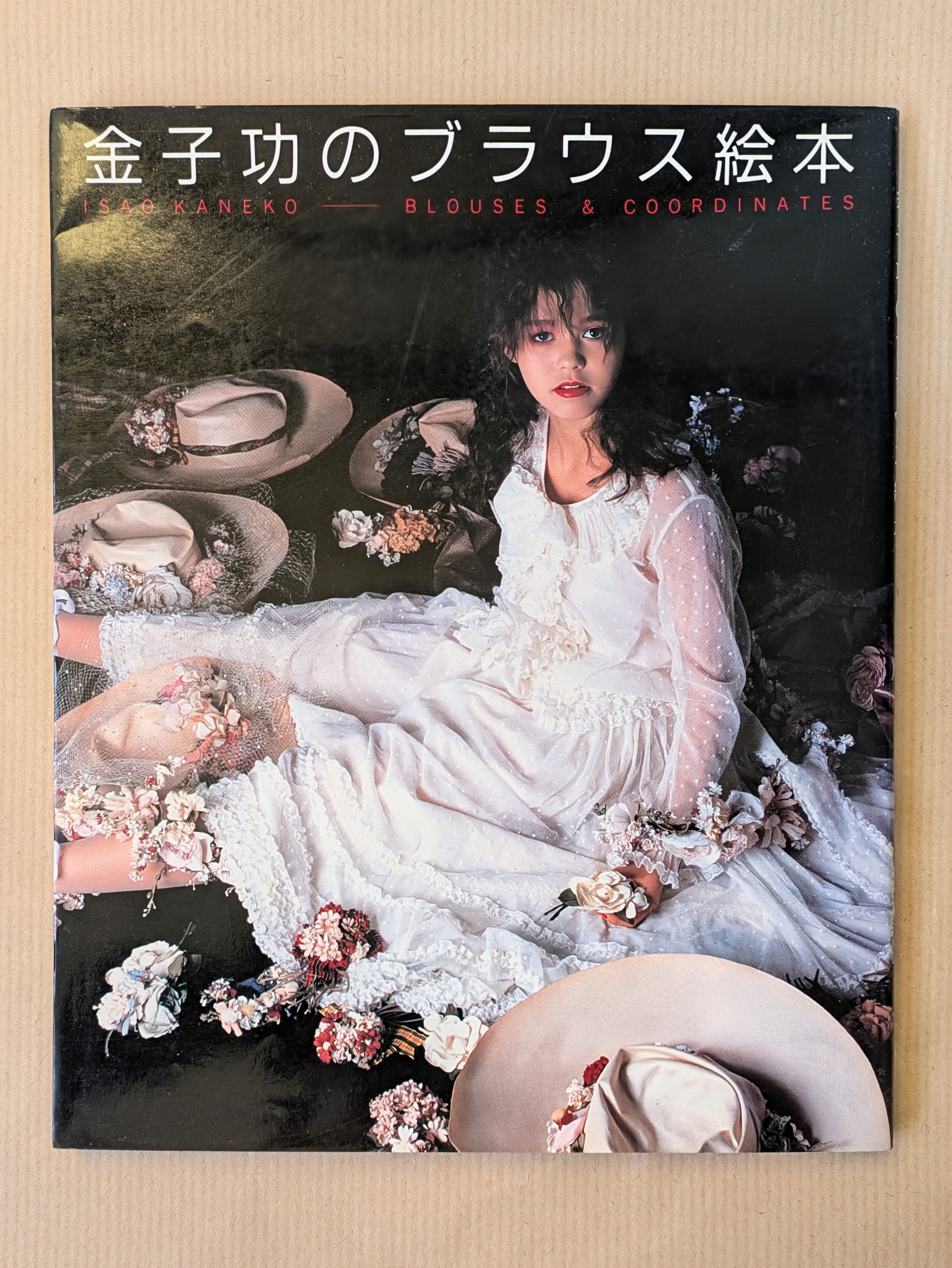 金子功の絵本 6冊セット希少初版本有り 金子功のブラウス絵本 | つきかげ書林