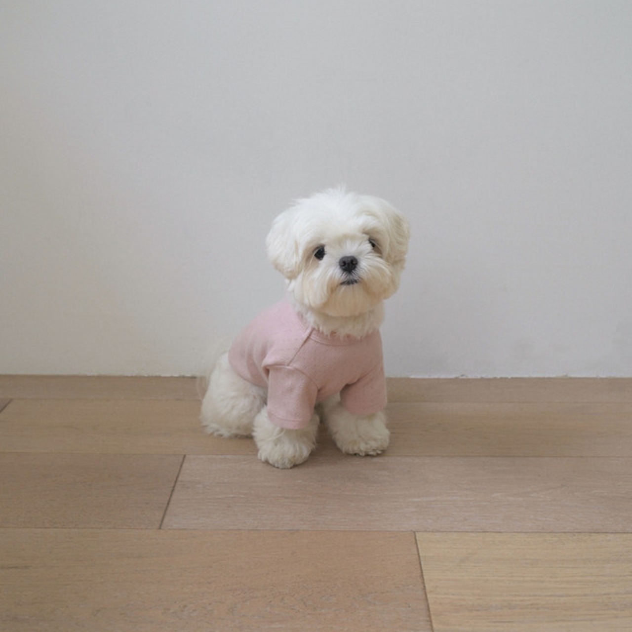 【即納｜一部予約】[ togethering ] Eyelet Crop T-shirt｜Pink - 15