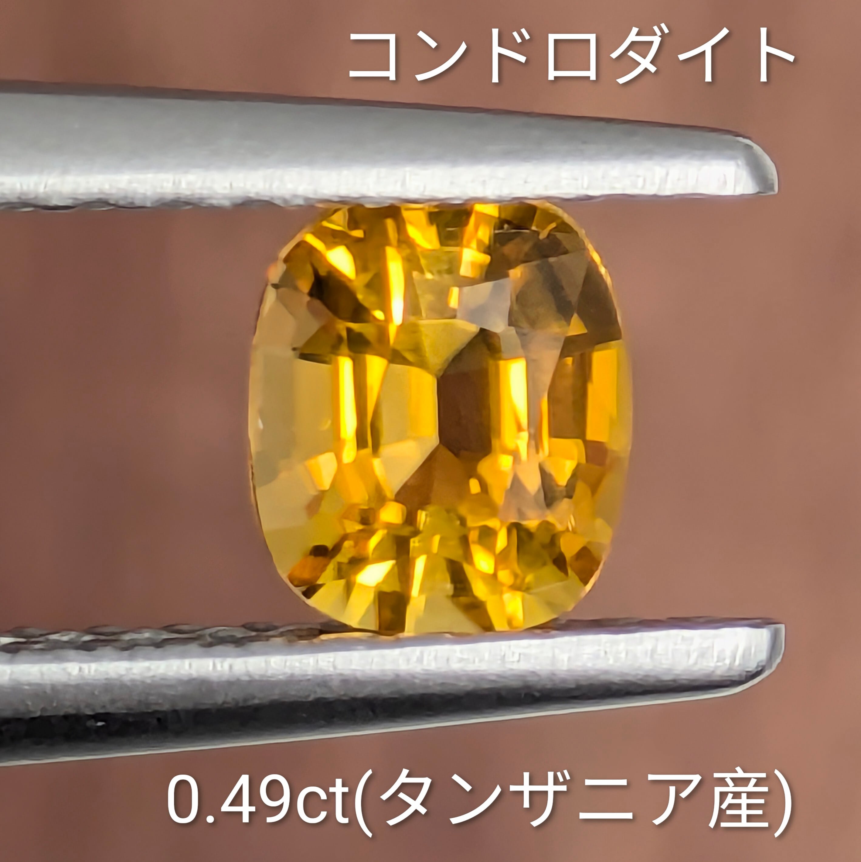 コンドロダイトルース 【0.49t】 PRO208679 | Gem's Subculture