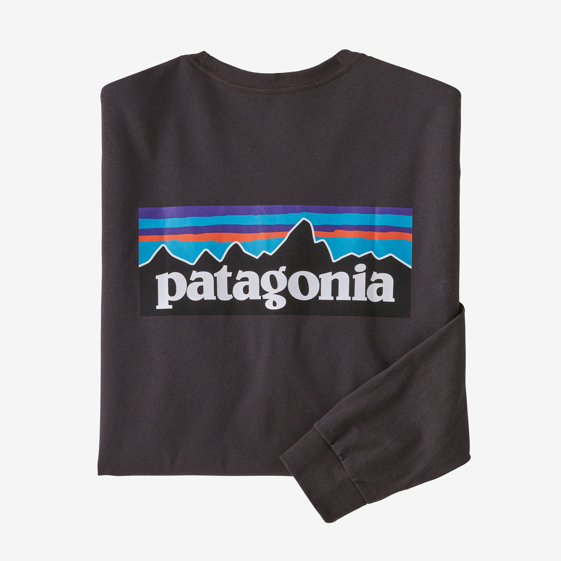 patagonia ロングTシャツ