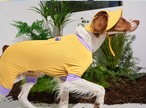 【PUPPYGALLERY公式】アウトサイド+クーリングバケットハット【マスタード】L-XL