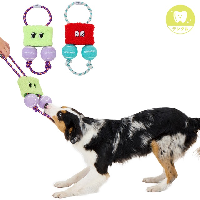 PARI-PARI BOOSTER パリパリブースター