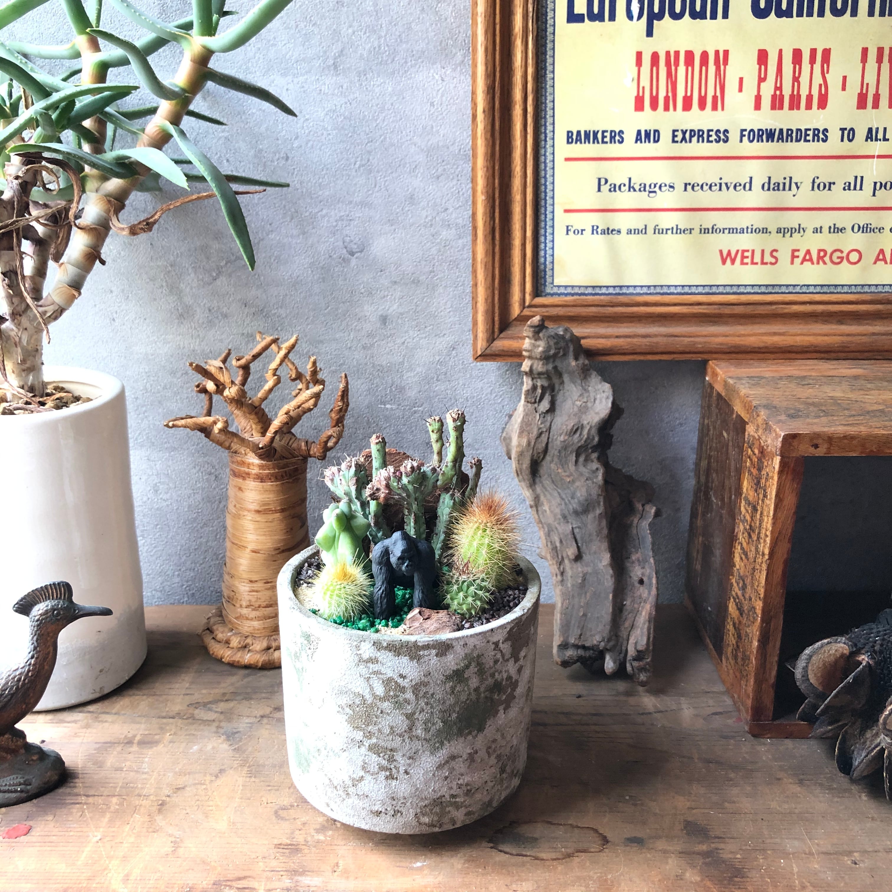 Gorilla ゴリラ mini | SABOTEN MISSILE