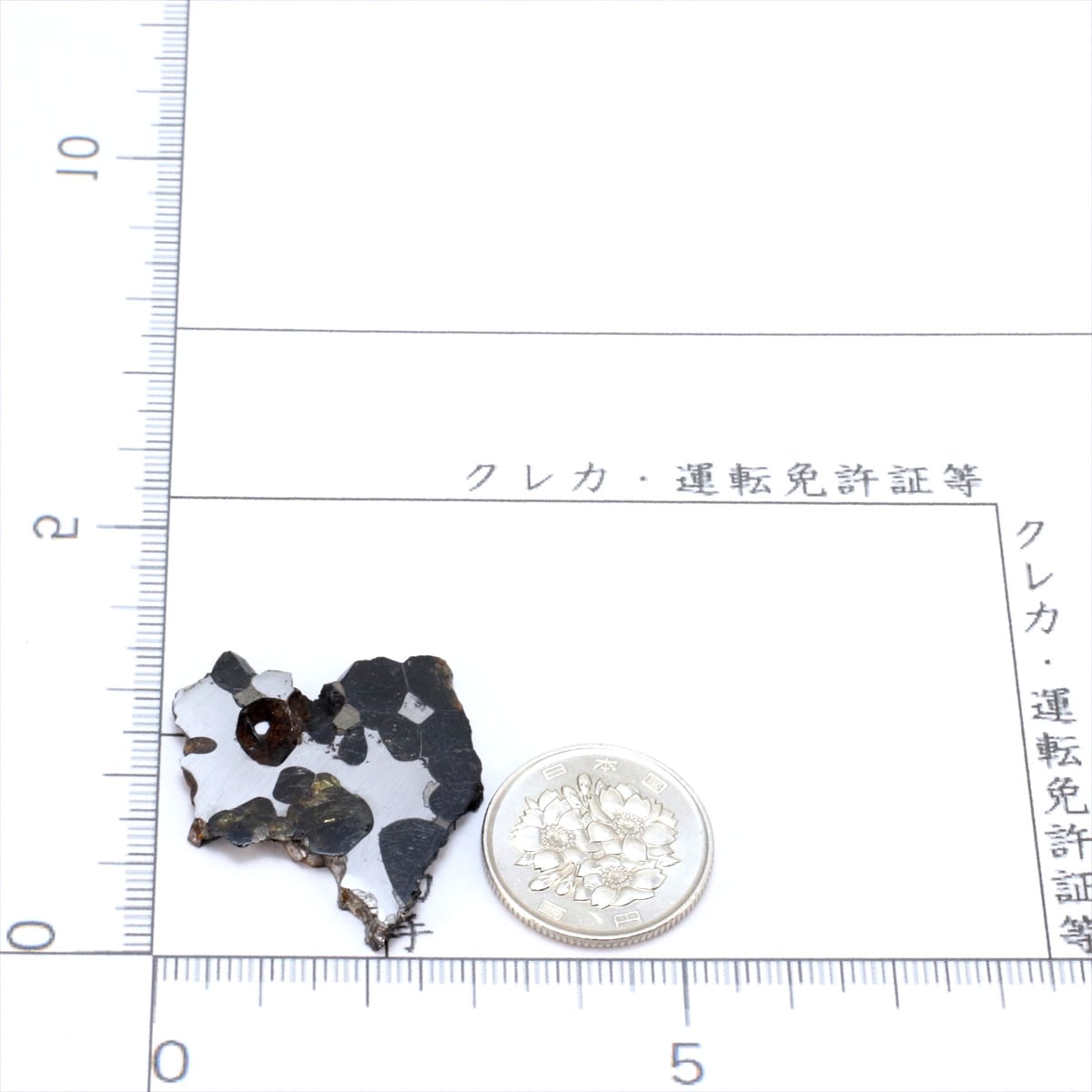 セイムチャン 隕石 7.9g パラサイト 石鉄隕石 標本 M2322